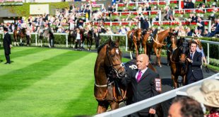 SBC News Report: High number of accas expected from Royal Ascot